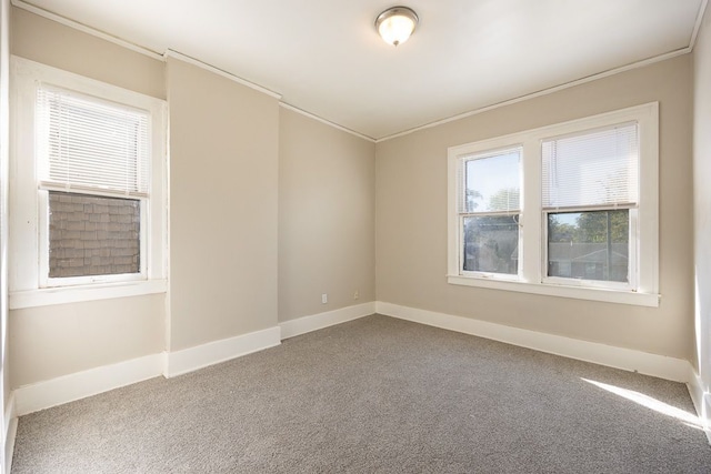 empty room with carpet floors and ornamental molding