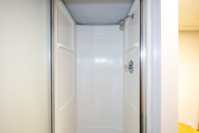 bathroom with walk in shower