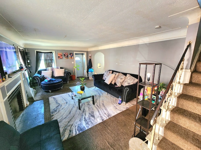 living room featuring carpet flooring and a textured ceiling