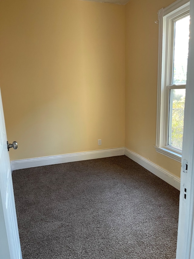 unfurnished room featuring carpet