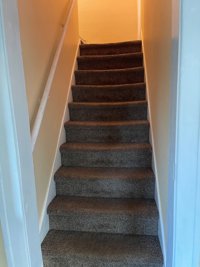 stairs featuring carpet flooring