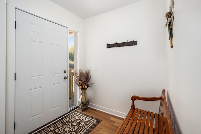 foyer featuring light wood-type flooring