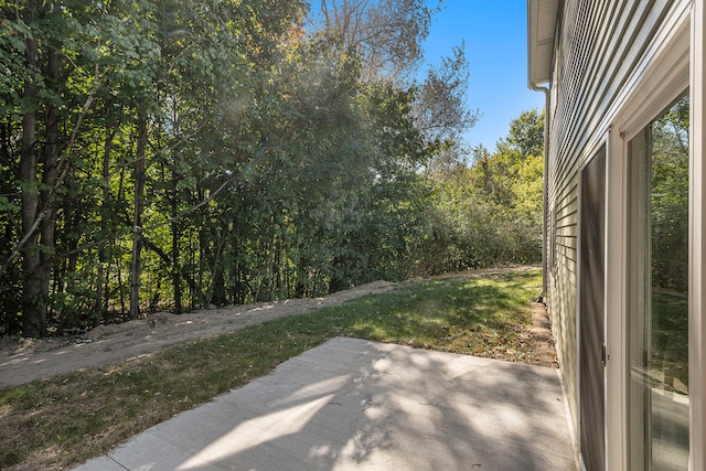 view of yard featuring a patio area