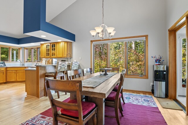 11826 Ridge View Dr, Rapid City, MI 49676 - living area featuring high vaulted ceiling, wood finished floors, and a stone fireplace
