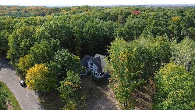 11826 Ridge View Dr, Rapid City, MI 49676 - view of property location featuring a heavily wooded area and a nearby body of water
