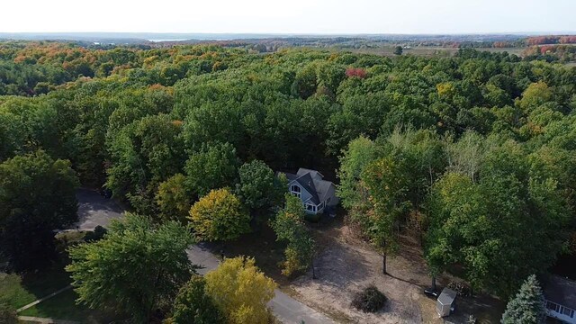 11826 Ridge View Dr, Rapid City, MI 49676 - aerial view of property's location with a forest