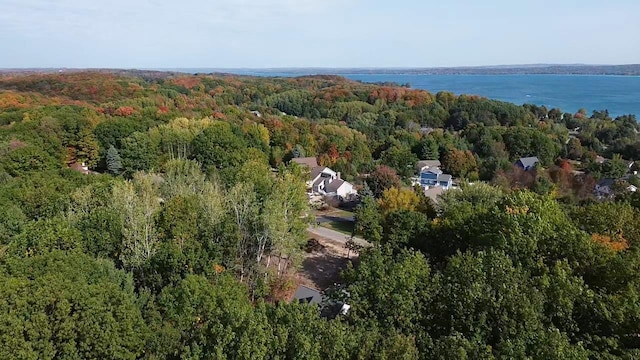 11826 Ridge View Dr, Rapid City, MI 49676 - aerial overview of property's location featuring a forest and a nearby body of water