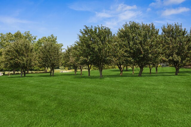 4559 Trails End Path, Saint Joseph, MI 49085 - view of property's community with a lawn