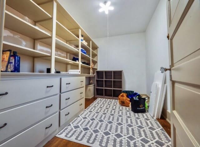 walk in closet featuring dark wood-type flooring