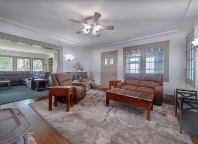 living room featuring light wood-type flooring, ceiling fan, and crown molding