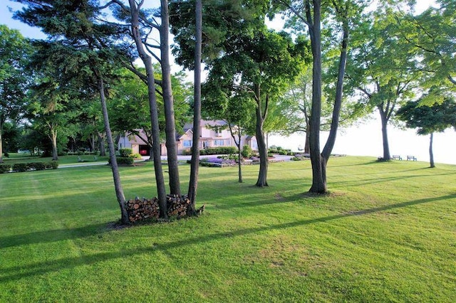 view of property's community featuring a lawn