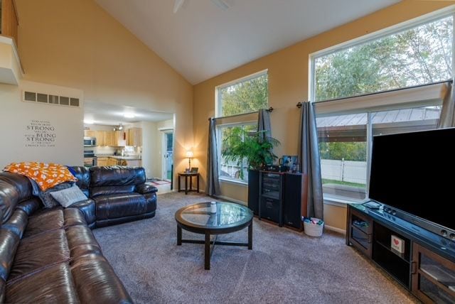 carpeted living room featuring high vaulted ceiling