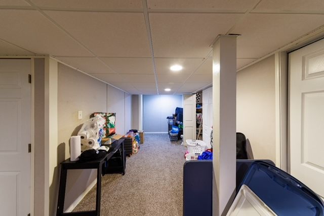 basement featuring a paneled ceiling and carpet