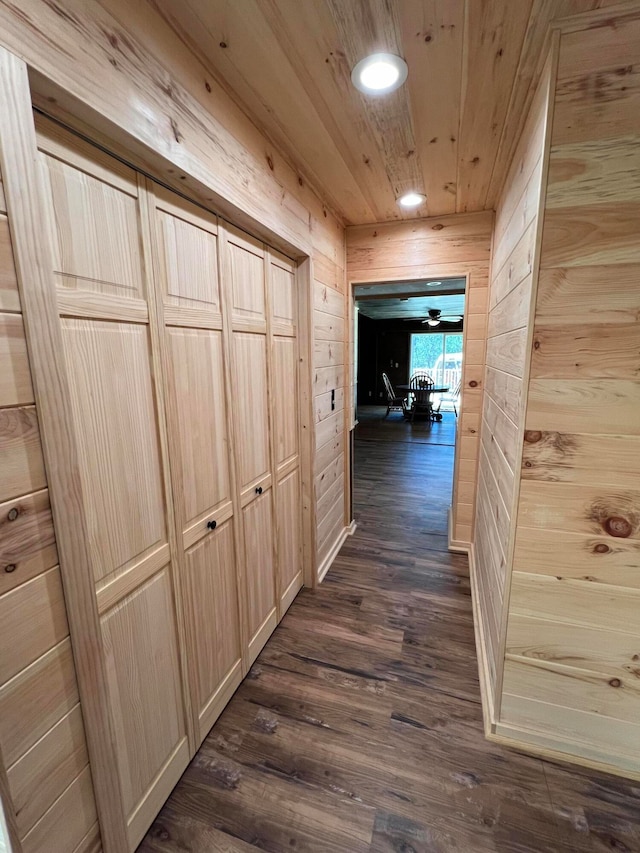 hallway featuring wooden walls and dark wood-type flooring