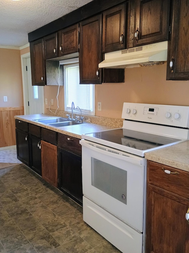 kitchen with white electric range oven, a textured ceiling, dark brown cabinetry, sink, and wood walls