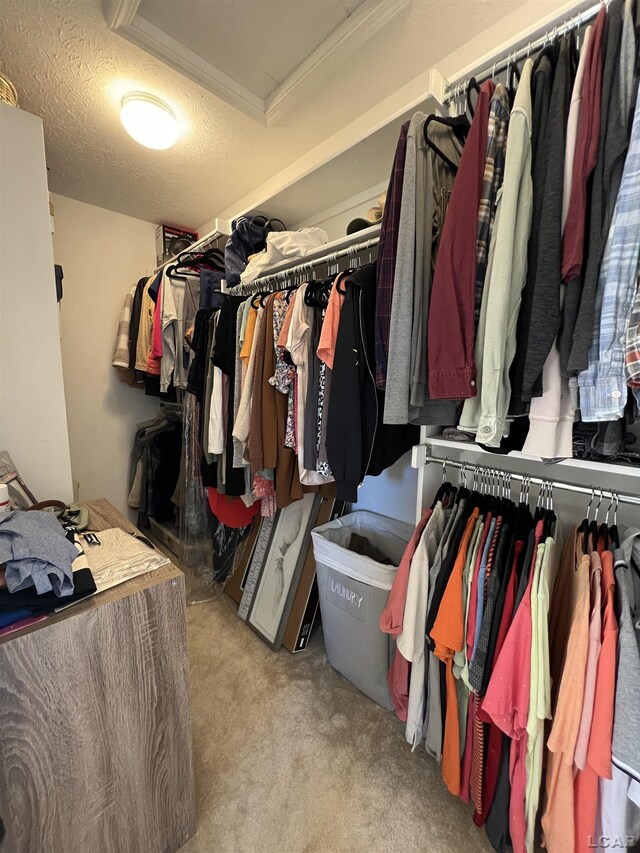 spacious closet featuring light colored carpet