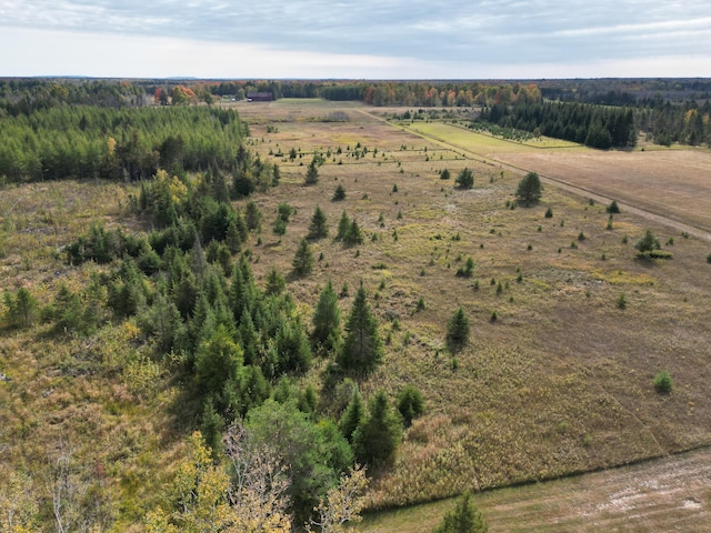 drone / aerial view featuring a rural view