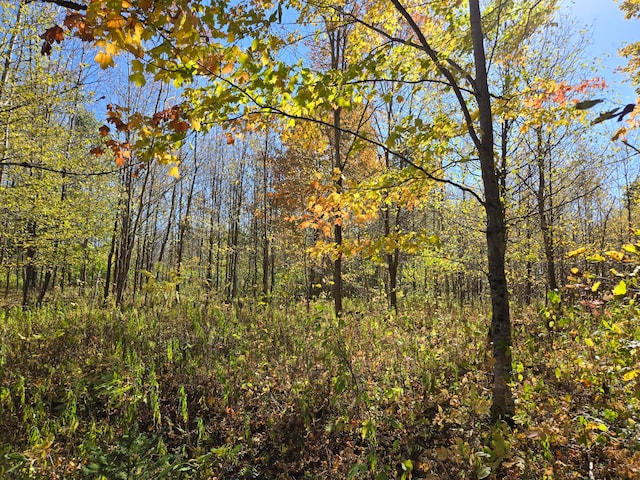 view of nature