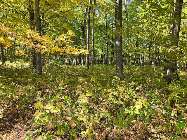 view of landscape