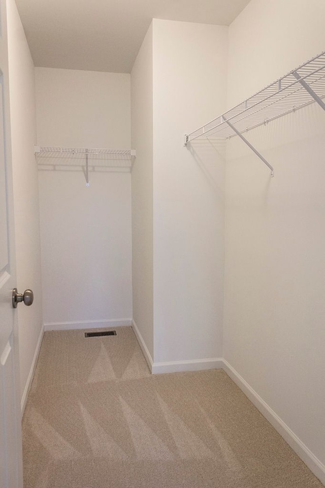 spacious closet with light carpet