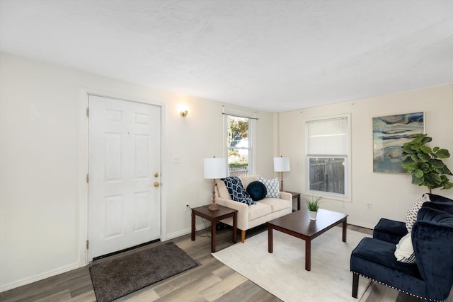 living room featuring hardwood / wood-style flooring