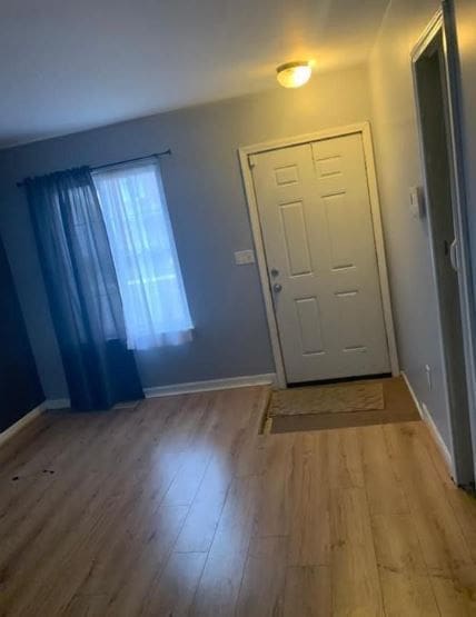 entryway featuring hardwood / wood-style floors