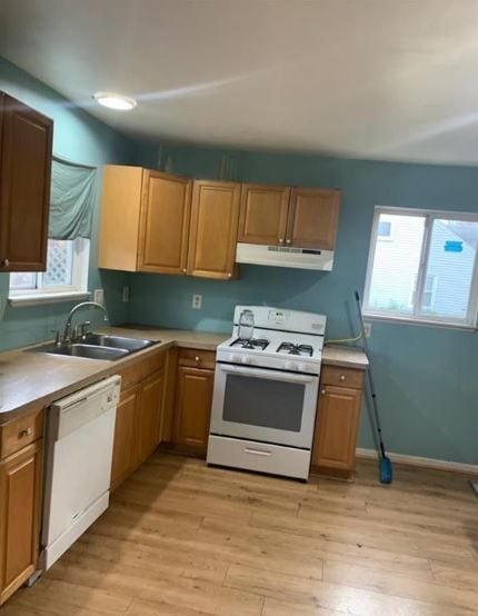 kitchen featuring sink, white appliances, and light hardwood / wood-style flooring