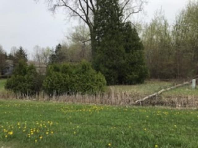 N/A Huron Rd, Au Gres, MI 48703