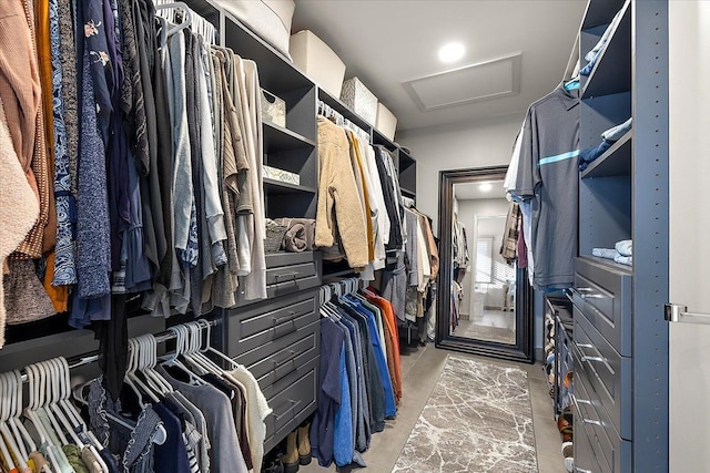 view of spacious closet