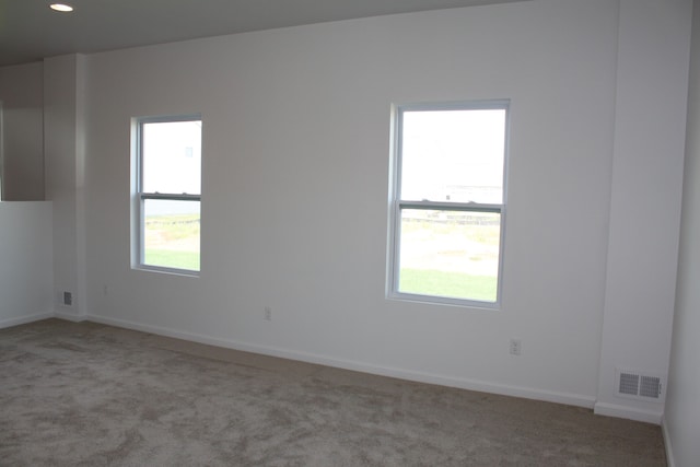 unfurnished room featuring light colored carpet and plenty of natural light