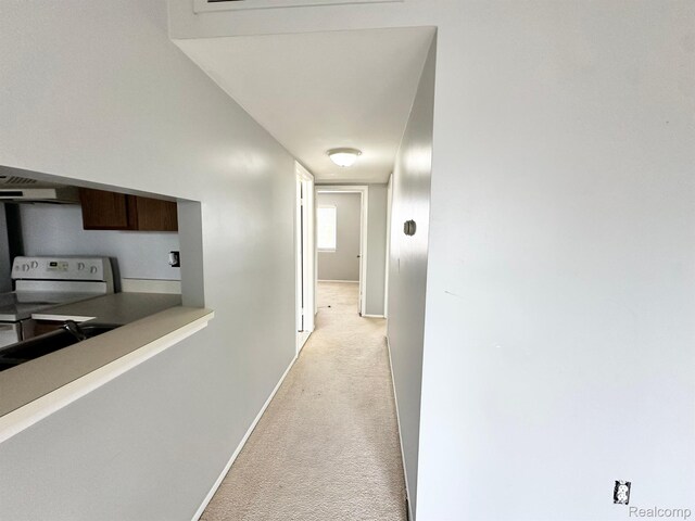 51316 Johns Dr Unit 14, Chesterfield, MI 48047 - hall with light carpet, baseboards, and a sink