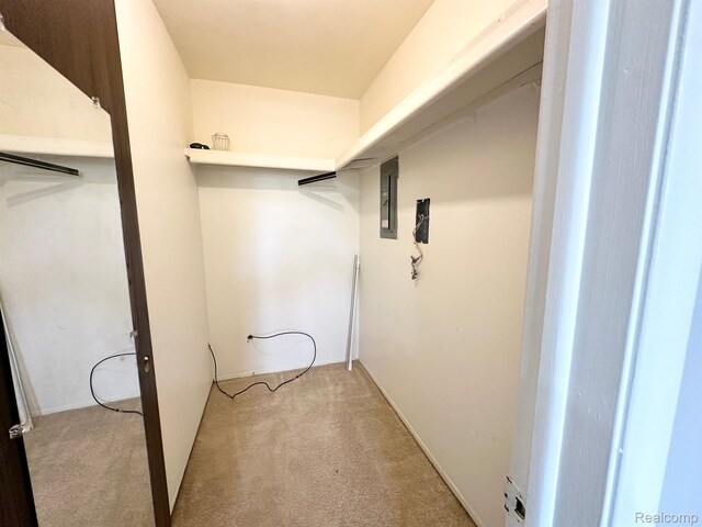 51316 Johns Dr Unit 14, Chesterfield, MI 48047 - spacious closet with light carpet and electric panel