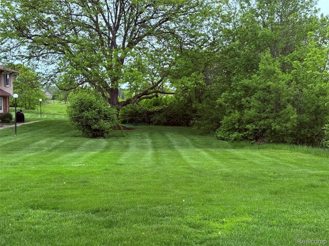 51316 Johns Dr Unit 14, Chesterfield, MI 48047 - view of grassy yard