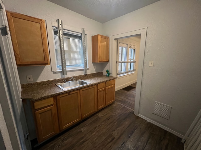 kitchen with dark hardwood / wood-style flooring and sink