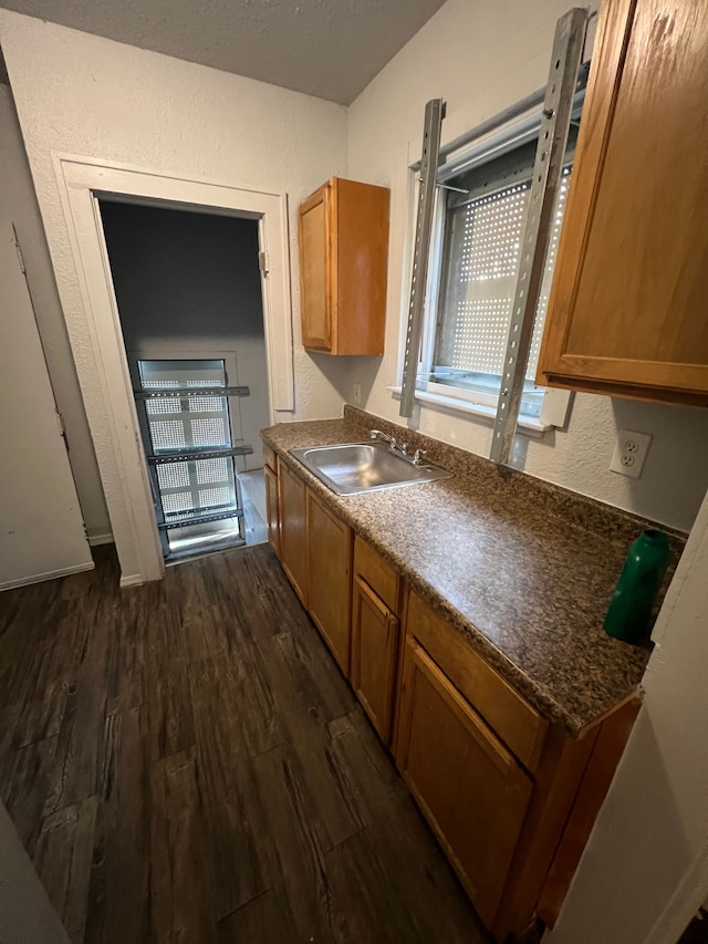 kitchen with sink and dark wood-type flooring