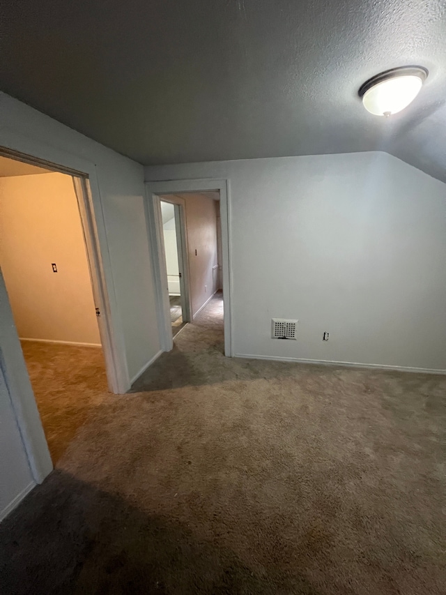 additional living space with carpet, lofted ceiling, and a textured ceiling