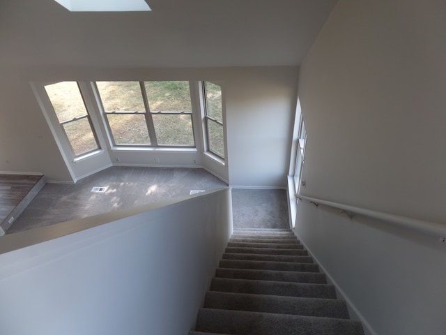 stairs featuring carpet flooring and a skylight