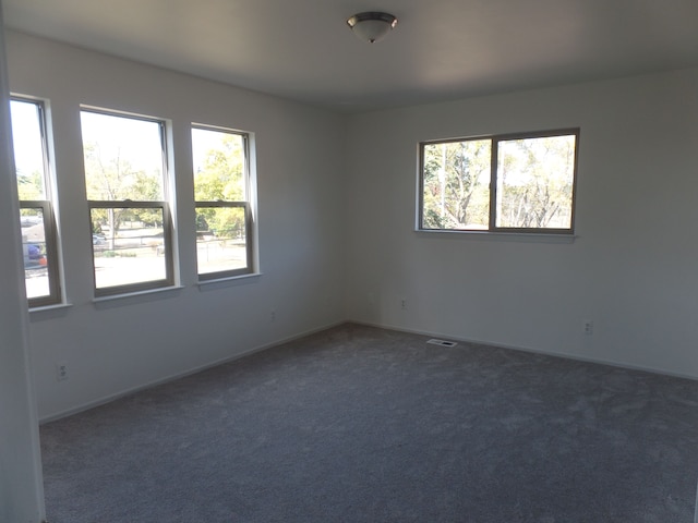 carpeted empty room with a healthy amount of sunlight