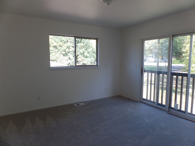 empty room with a healthy amount of sunlight and carpet flooring