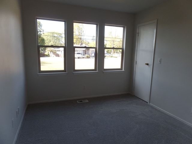 carpeted empty room featuring plenty of natural light