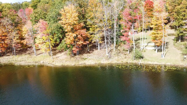 5391 Jack Morris Dr, West Branch, MI 48661 - photo 14