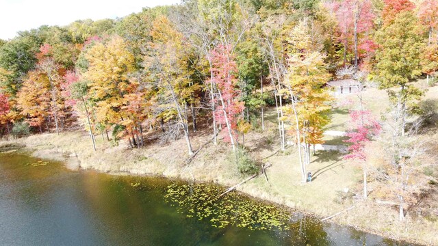 5391 Jack Morris Dr, West Branch, MI 48661 - photo 29