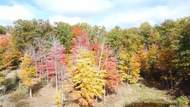 5391 Jack Morris Dr, West Branch, MI 48661 - photo 32