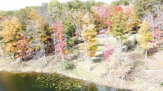 5391 Jack Morris Dr, West Branch, MI 48661 - photo 27