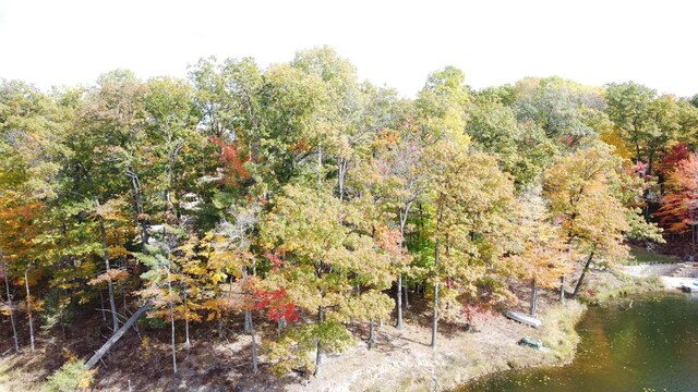 5391 Jack Morris Dr, West Branch, MI 48661 - photo 31