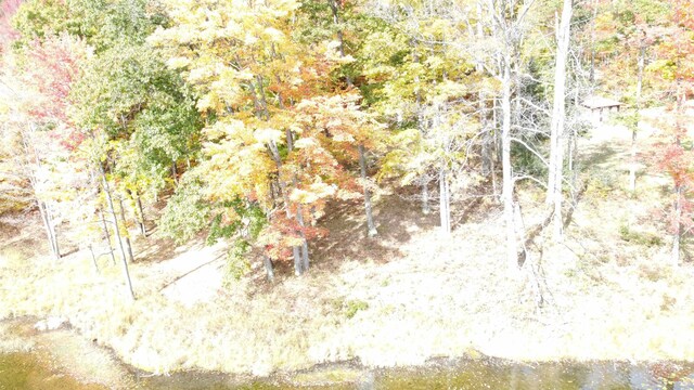 5391 Jack Morris Dr, West Branch, MI 48661 - photo 13