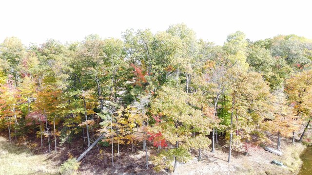 5391 Jack Morris Dr, West Branch, MI 48661 - photo 25
