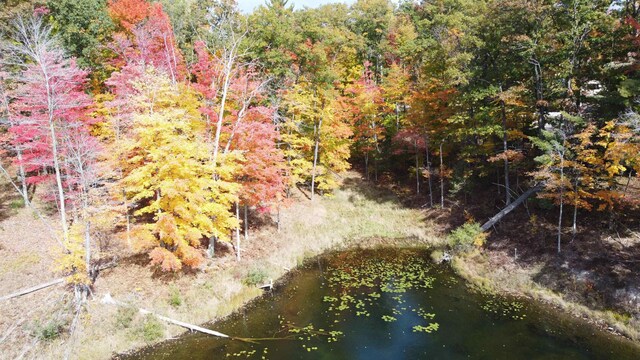 5391 Jack Morris Dr, West Branch, MI 48661 - photo 30