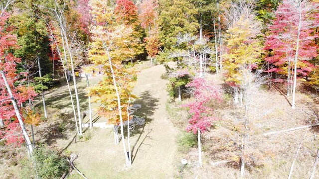 5391 Jack Morris Dr, West Branch, MI 48661 - photo 10