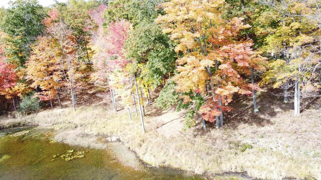 5391 Jack Morris Dr, West Branch, MI 48661 - photo 12
